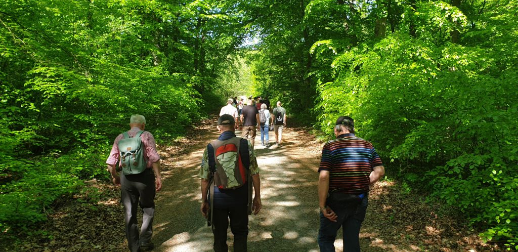 Ein Reiher auf der Lauer – Maiwanderung des CDU-Ortsverbandes Egenstedt